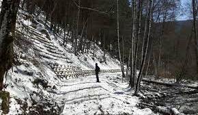 In Presenza – L’Ingegneria Naturalistica per la Difesa del Territorio e il Recupero Ambientale